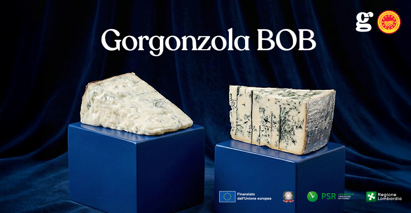 GORGONZOLA BOB IS EEN VAN DE MEEST GEWILDE KAZEN TER WERELD, ONLINE TE BESTELLEN.